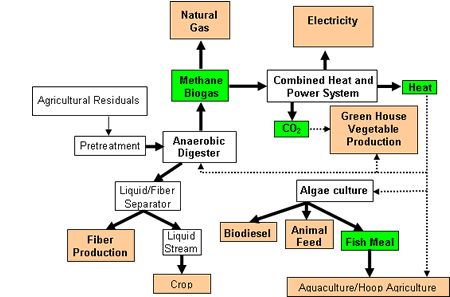Biogas Flowchart
