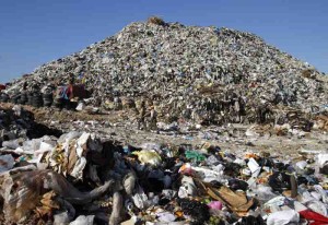 Qatar Waste