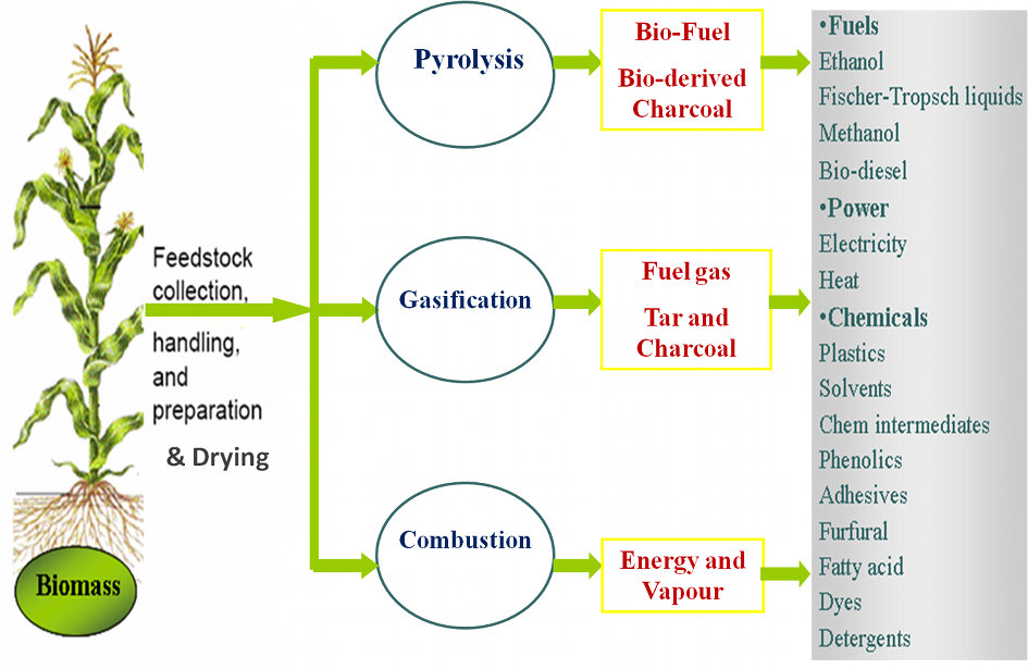 thermal conversion biomass