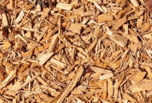 lignocellulosic biomass