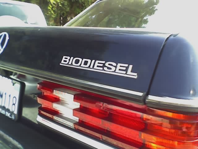 biodiesel-india