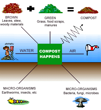 composting-process