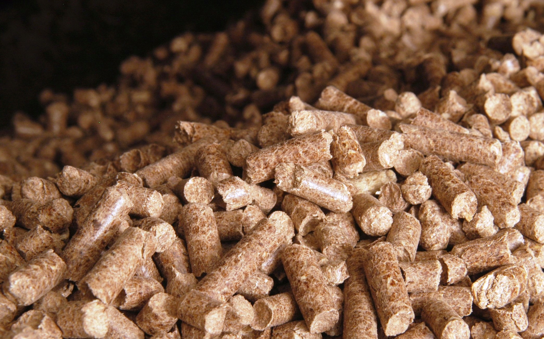 pelletization of biomass