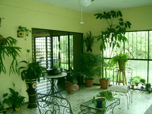 indoor-garden