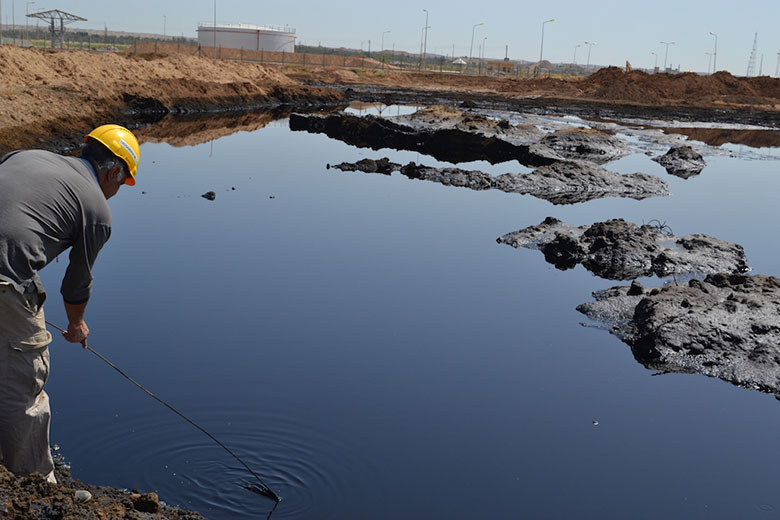 biological decomposition of oil sludge