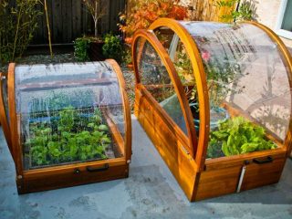greenhouse-gardening