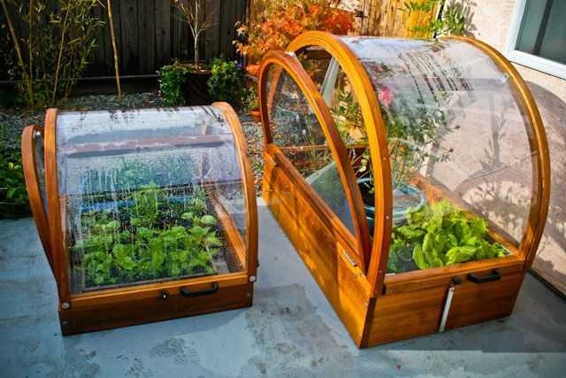 greenhouse-gardening