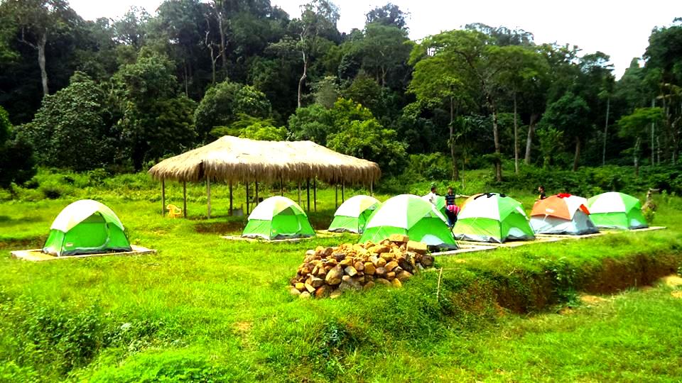 green campsite
