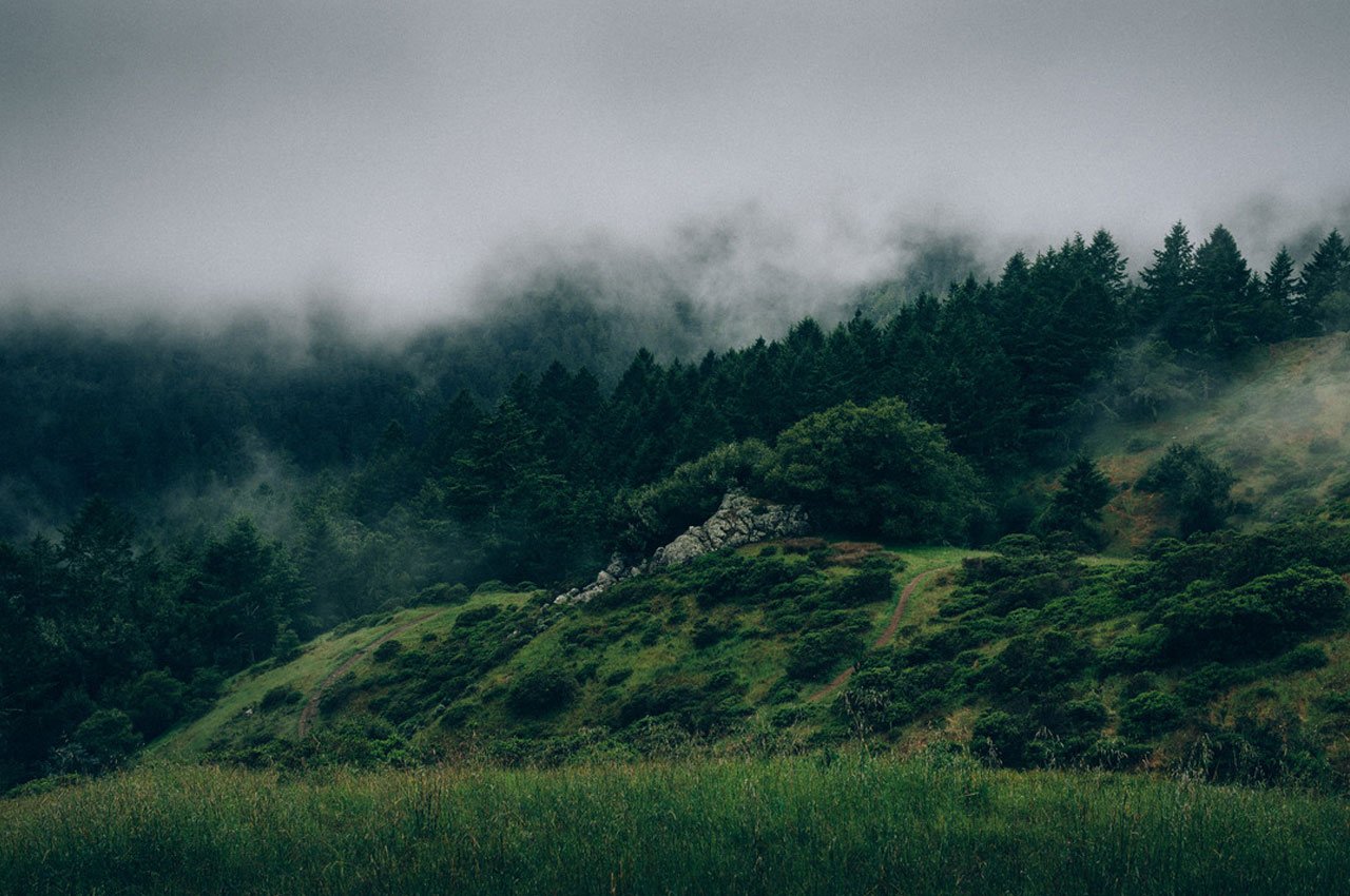 Is Drinking Rainwater Dangerous For Health?