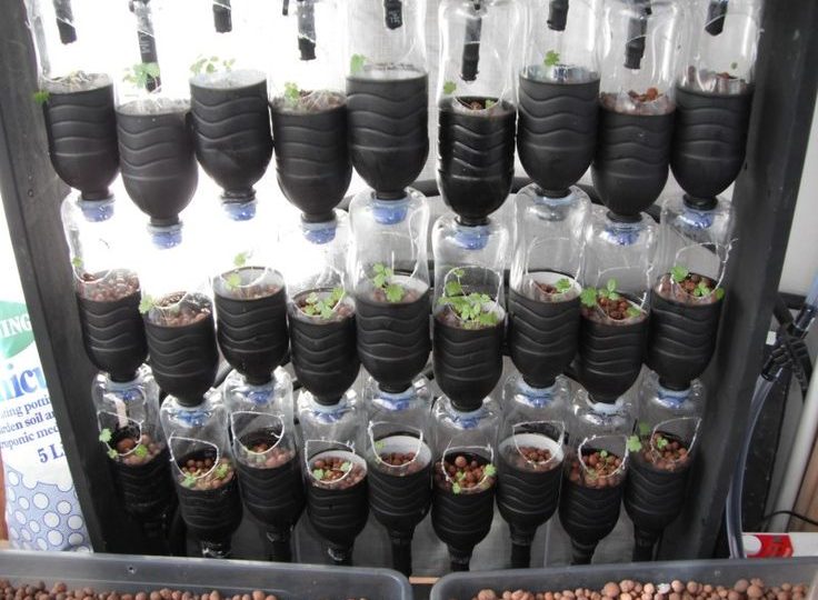 hydroponic-system-water-bottles