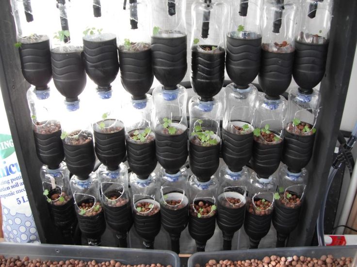 hydroponic-system-water-bottles