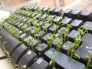 hydroponic-system-keyboard