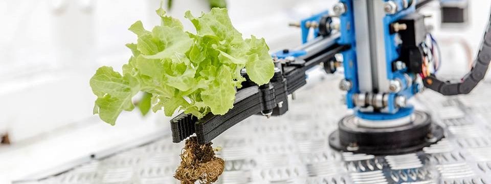 robotics in agriculture