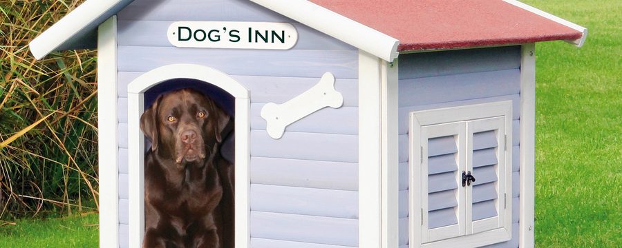 house-for-dog