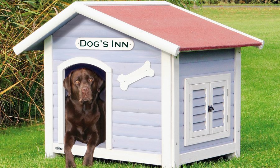 house-for-dog
