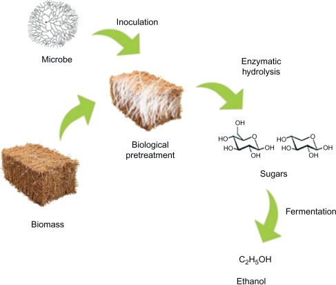 pretreatment methods for lignocellulosic biomass