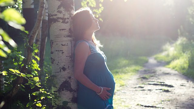pregnancy-safe-travel-guide