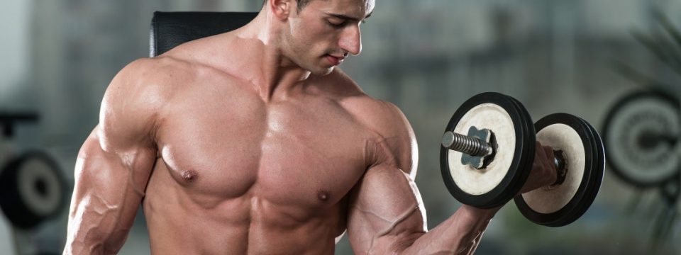bodybuilding-muscle-plateau