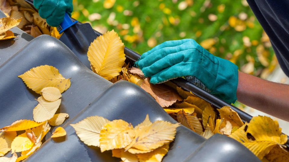 winterizing your home early