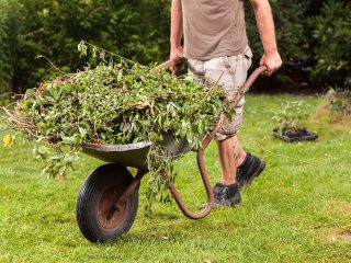 what is yard waste used for