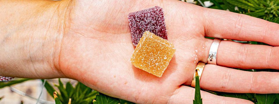 Things You Need To Know Edible Delta 8 Gummies