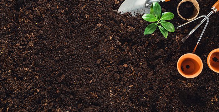 Are Organic Fertilisers Better for Crops than Chemical Fertilisers