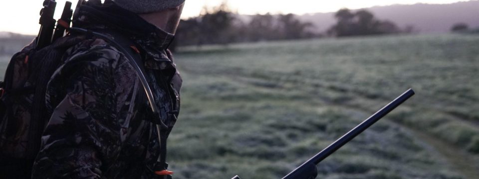 Tools and Gear for Beginner Hunter