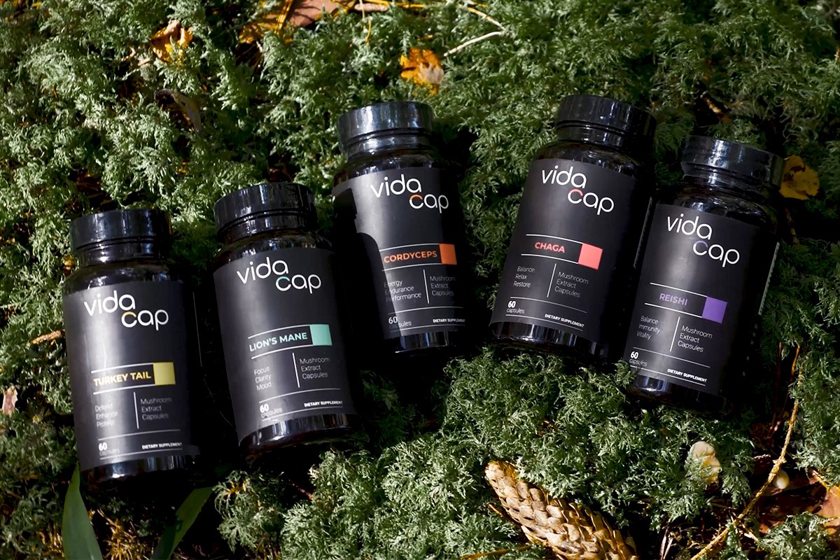 Which Types Of Mushroom Supplements Are Right For You?