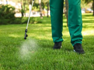 helpful tips on lawn maintenance