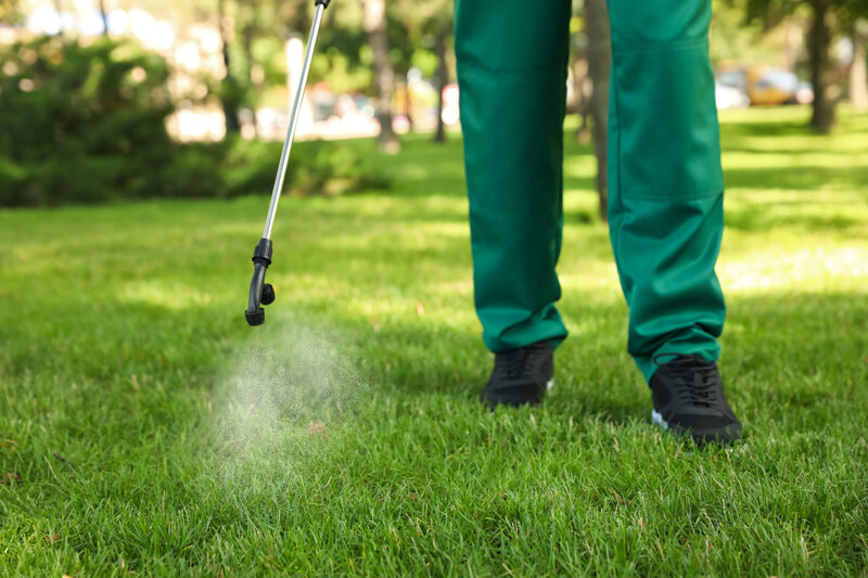 helpful tips on lawn maintenance