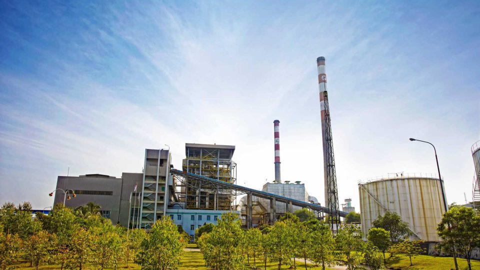 sustainability goals of Asia Pulp and Paper