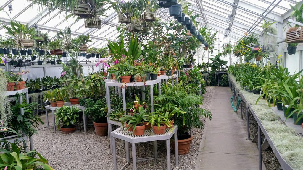 5 Benefits Of A Greenhouse Blogging Hub